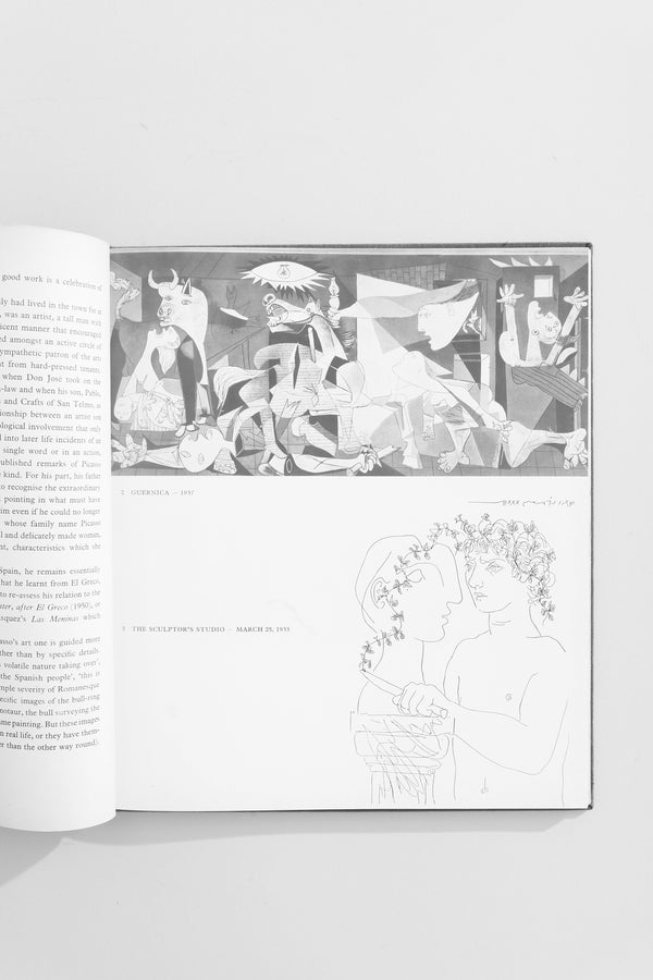 Picasso Book