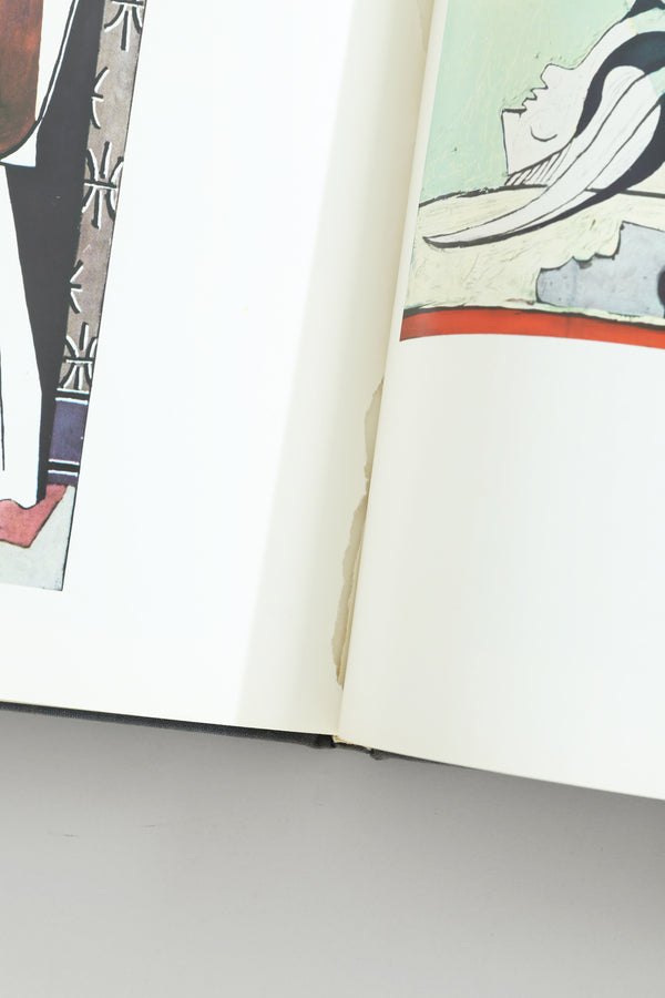 Picasso Book