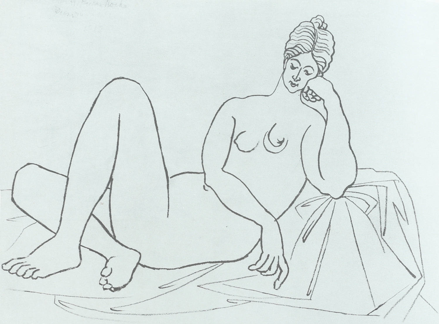 Picasso Book