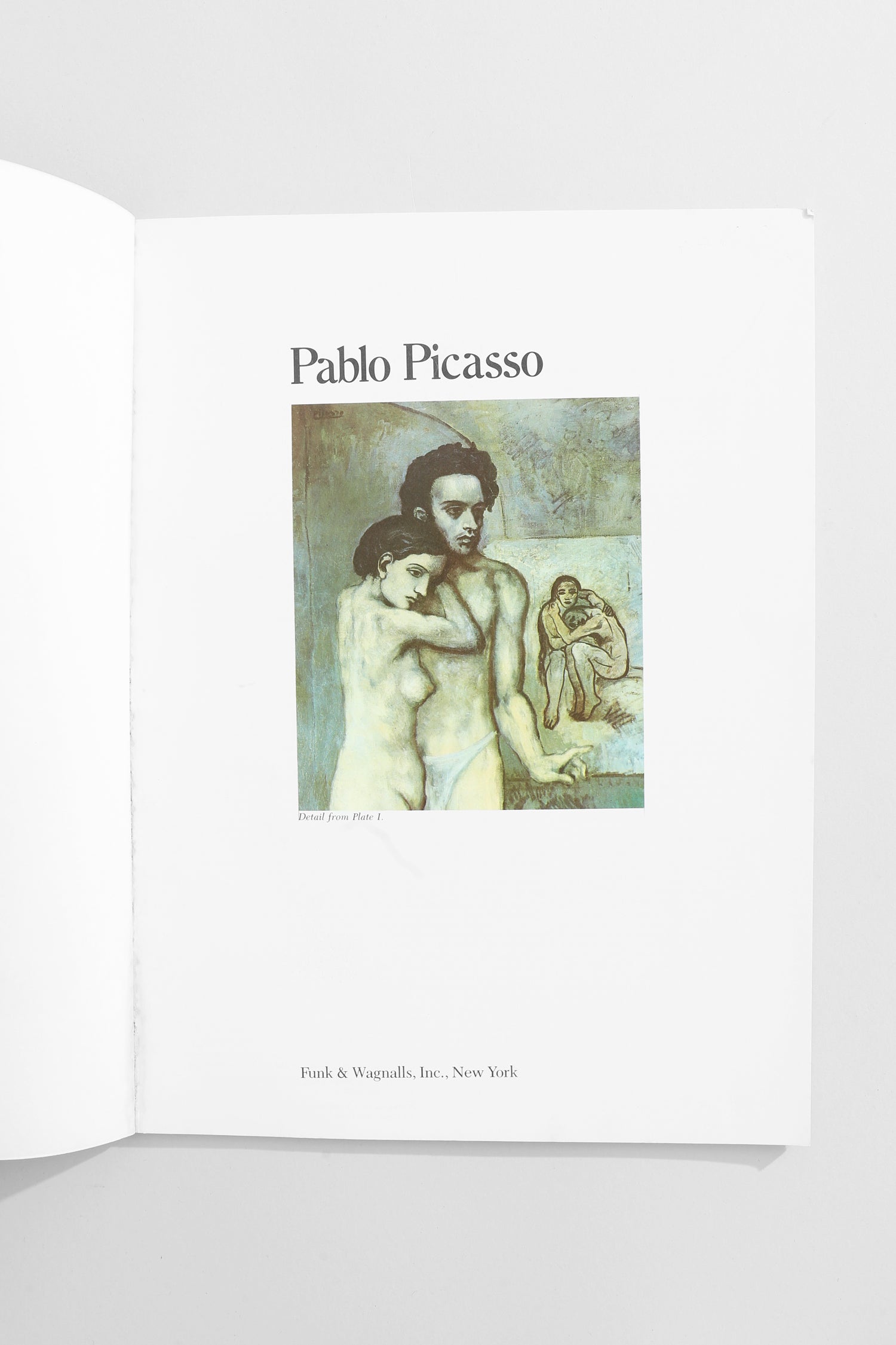 Picasso (The Great Artists) Book