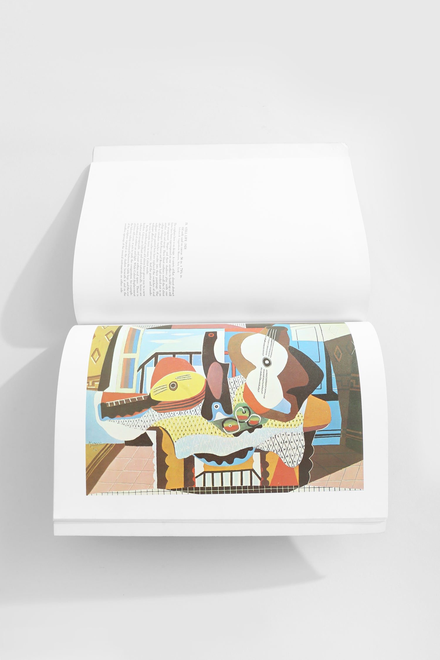 Picasso (The Great Artists) Book