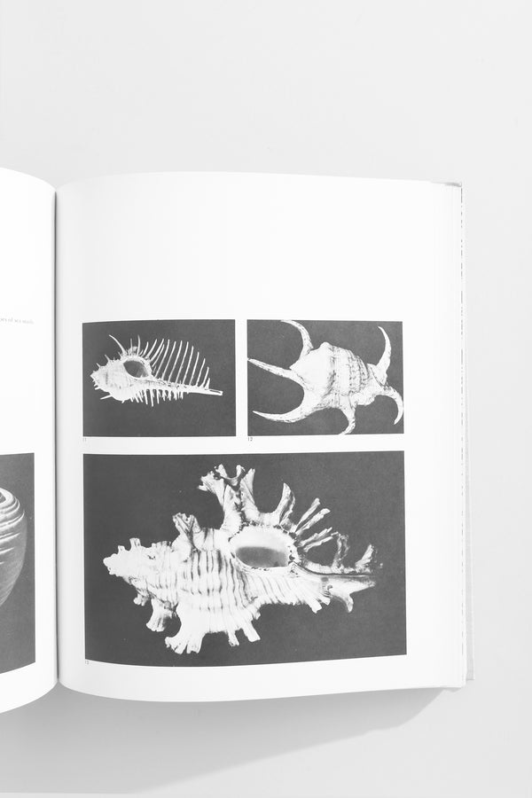Module Proportion Symmetry Rhythm Book