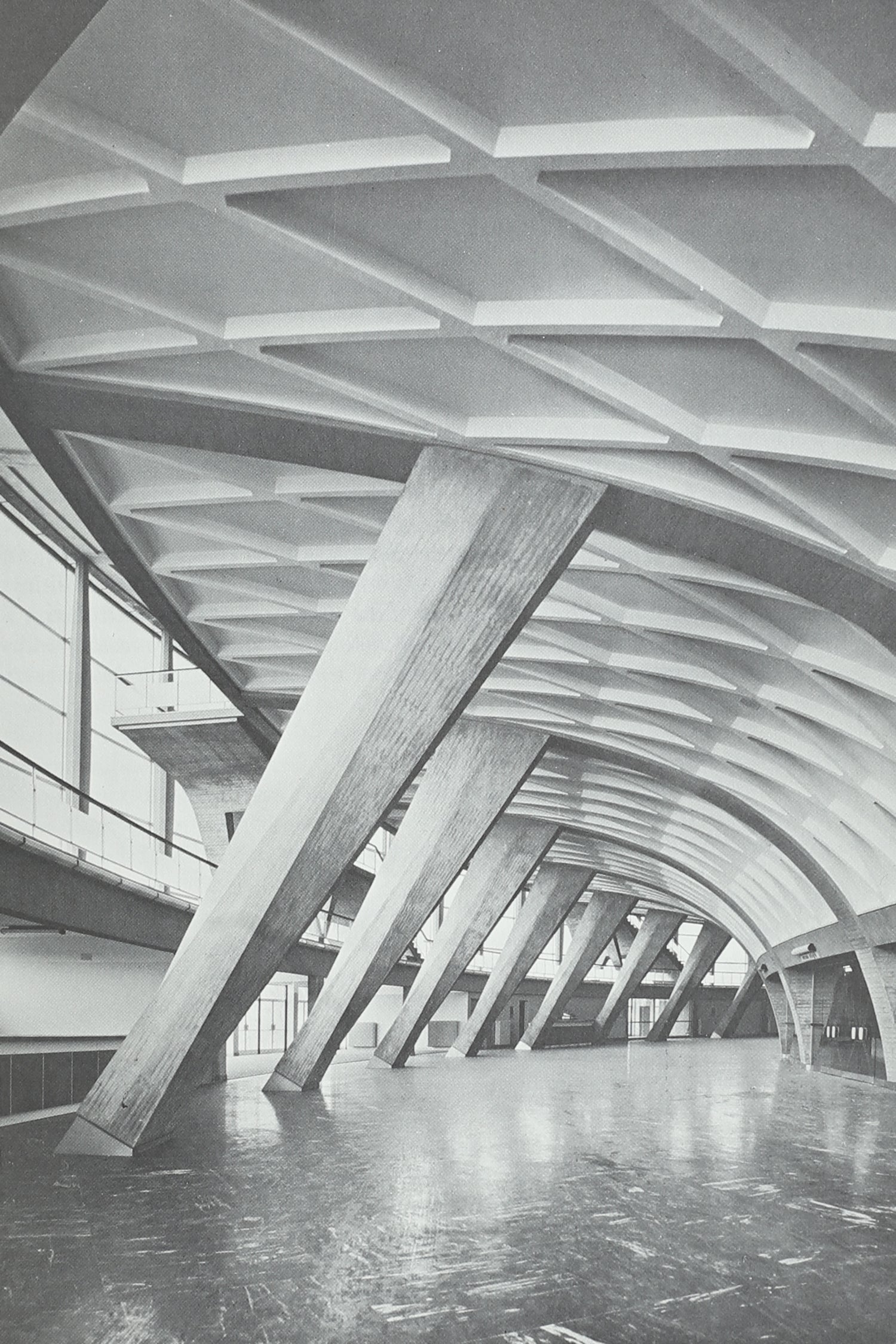 Structure in Art and in Science Book