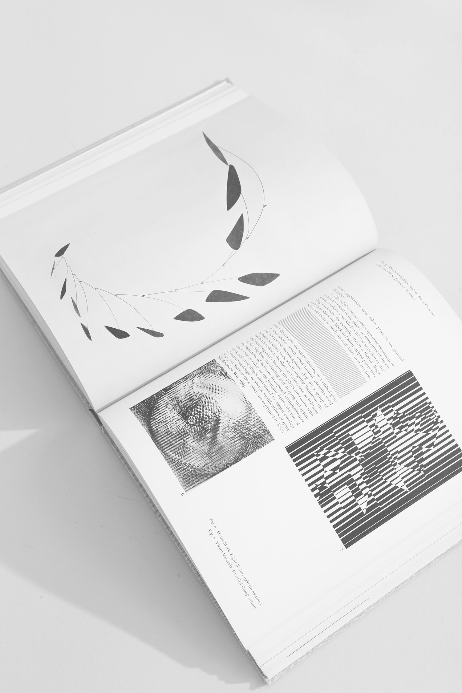 The Nature and Art of Motion Book