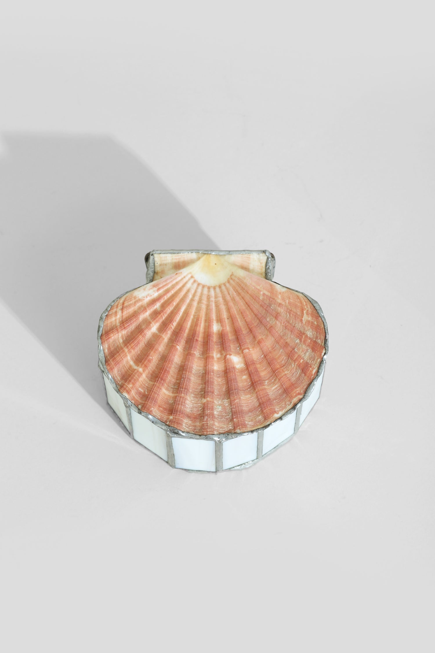 Scallop Shell Jewelry Box