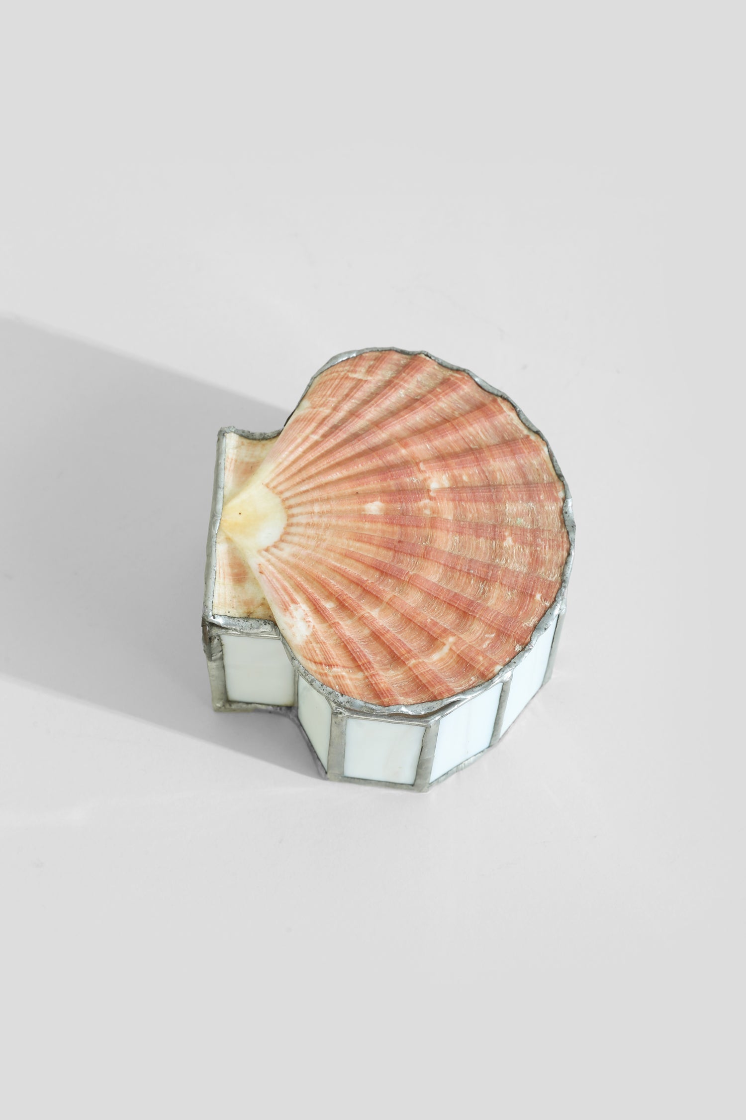 Scallop Shell Jewelry Box