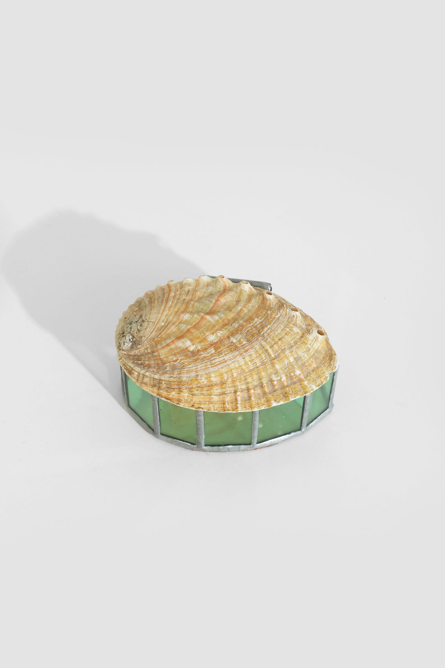 Red Abalone Shell Jewelry Box