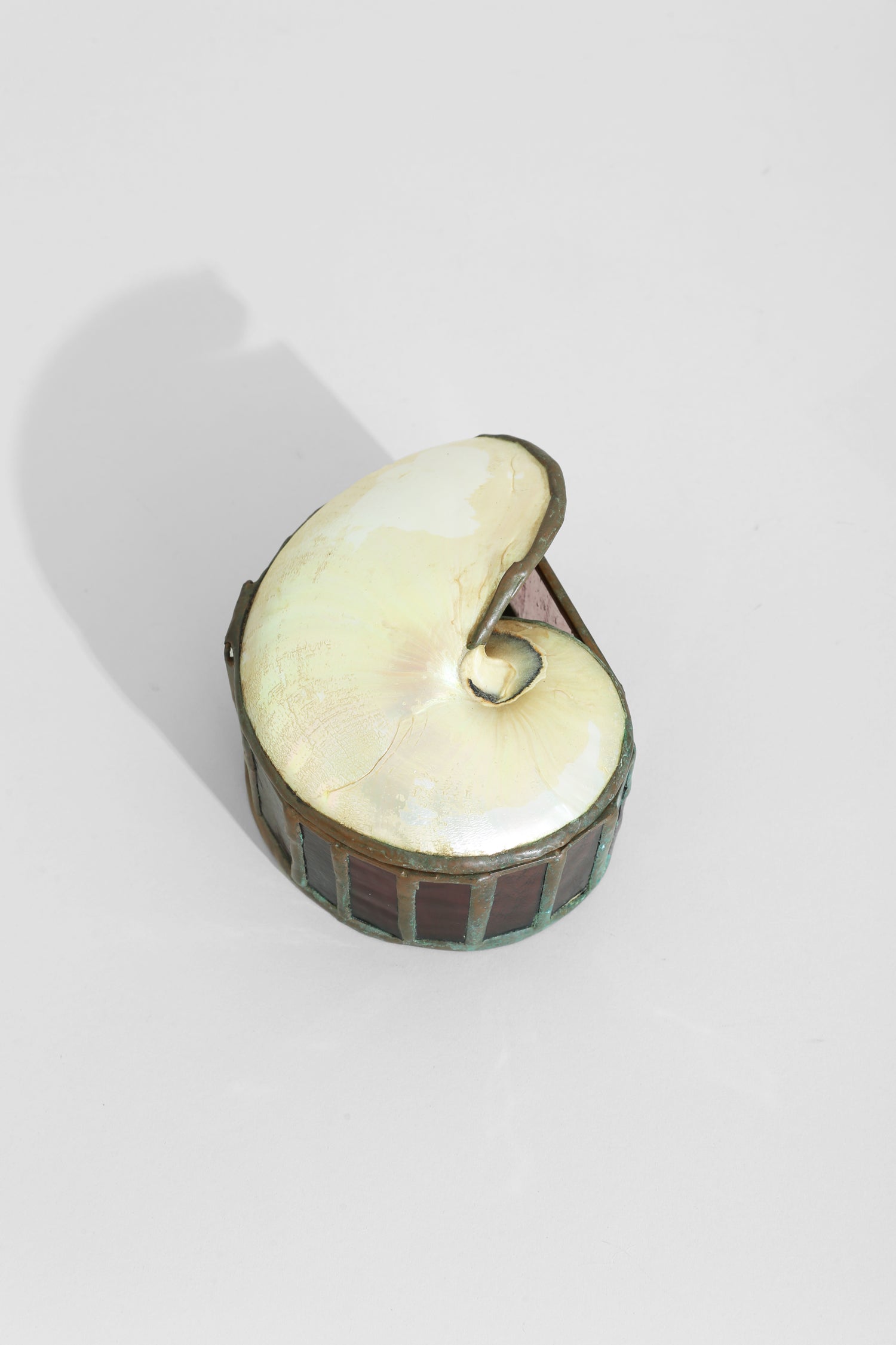 Nautilus Shell Jewelry Box
