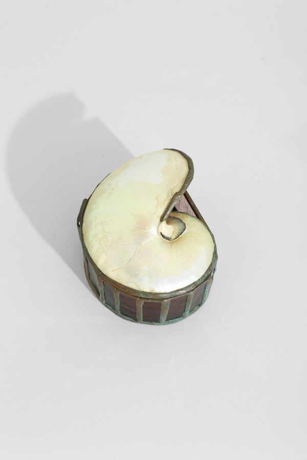 Nautilus Shell Jewelry Box