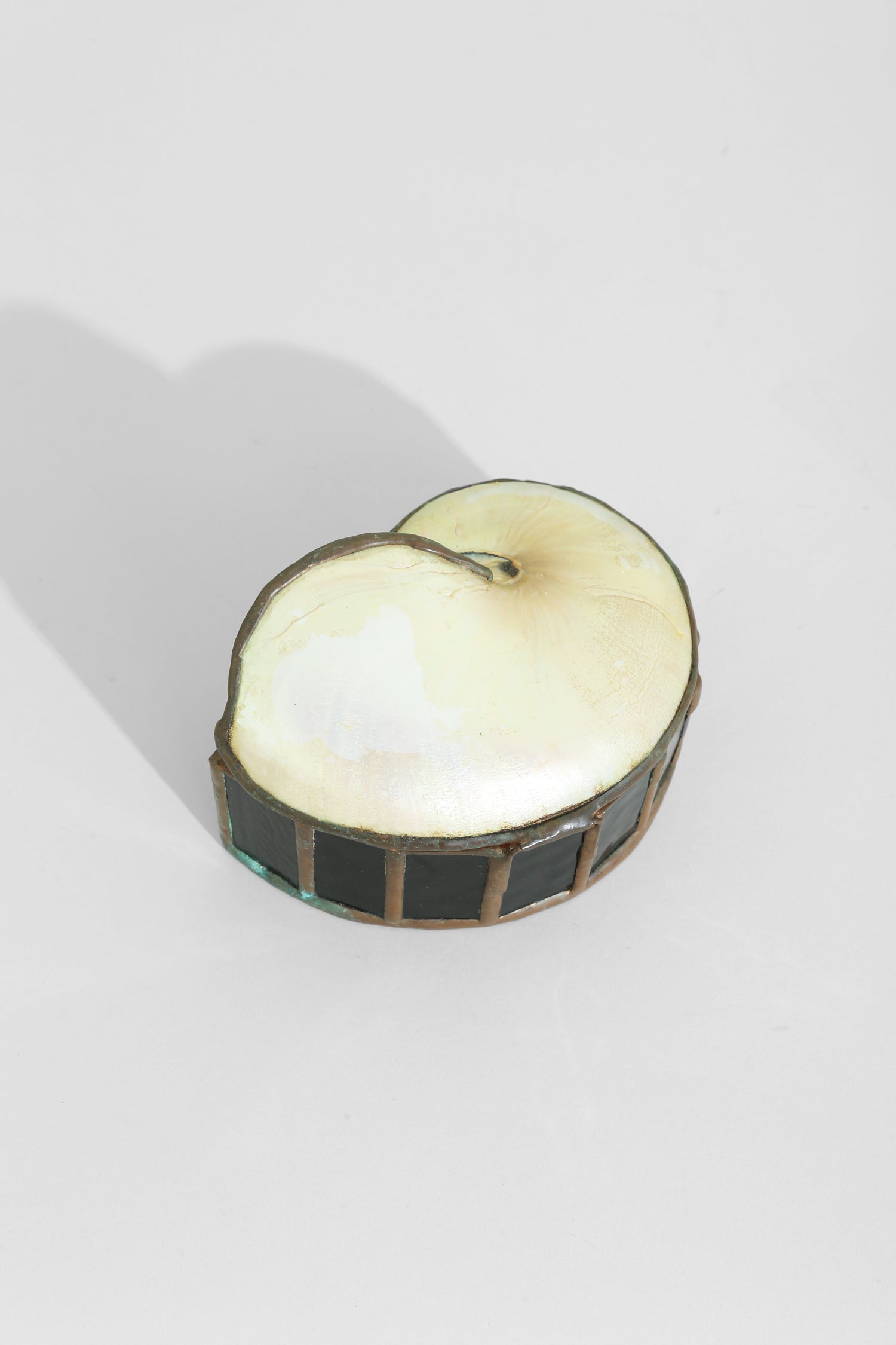 Nautilus Shell Jewelry Box