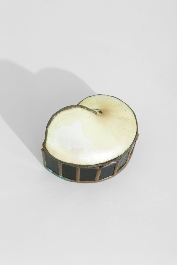 Nautilus Shell Jewelry Box