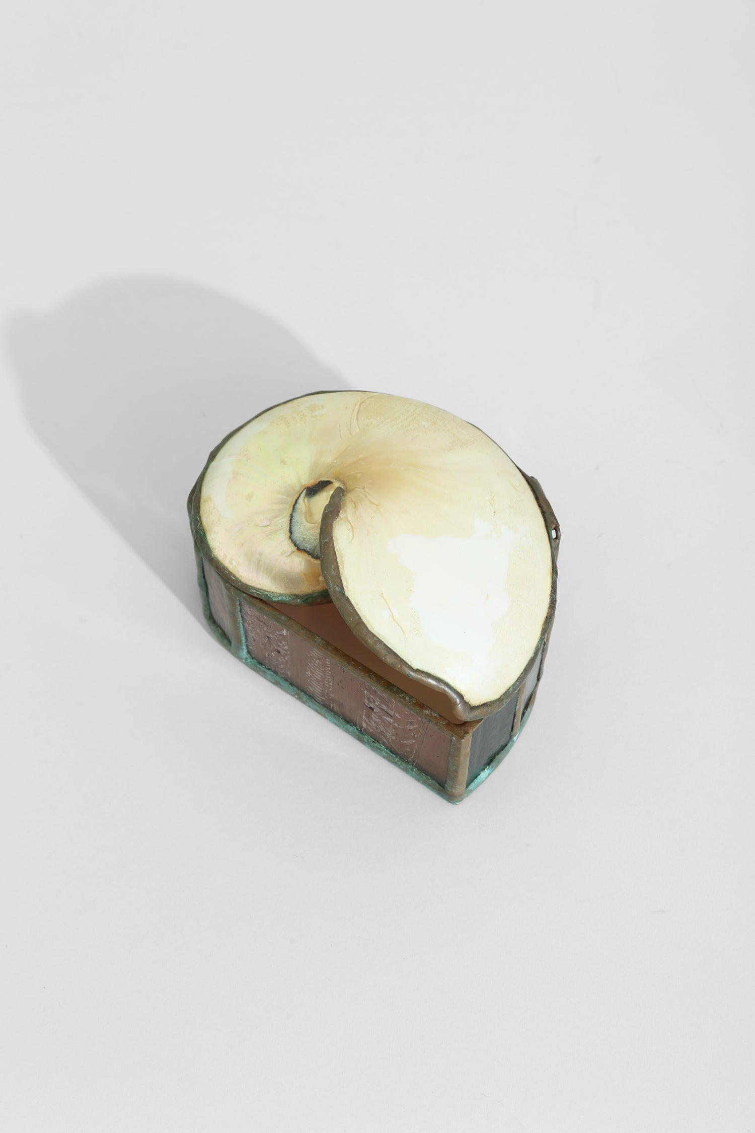 Nautilus Shell Jewelry Box