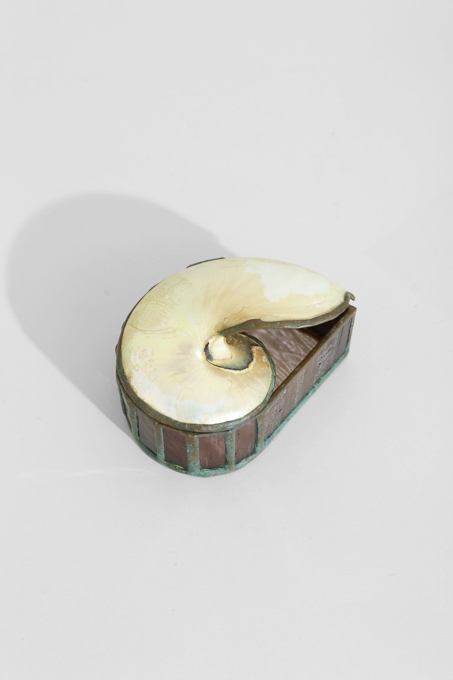 Nautilus Shell Jewelry Box