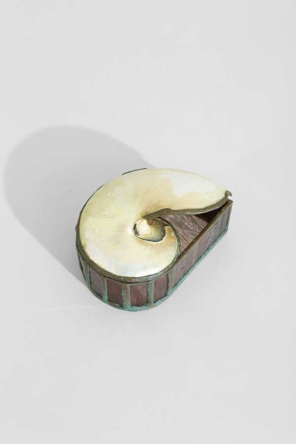 Nautilus Shell Jewelry Box