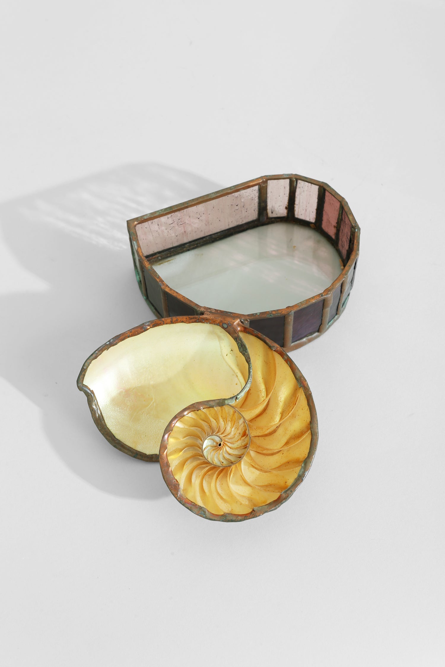 Nautilus Shell Jewelry Box