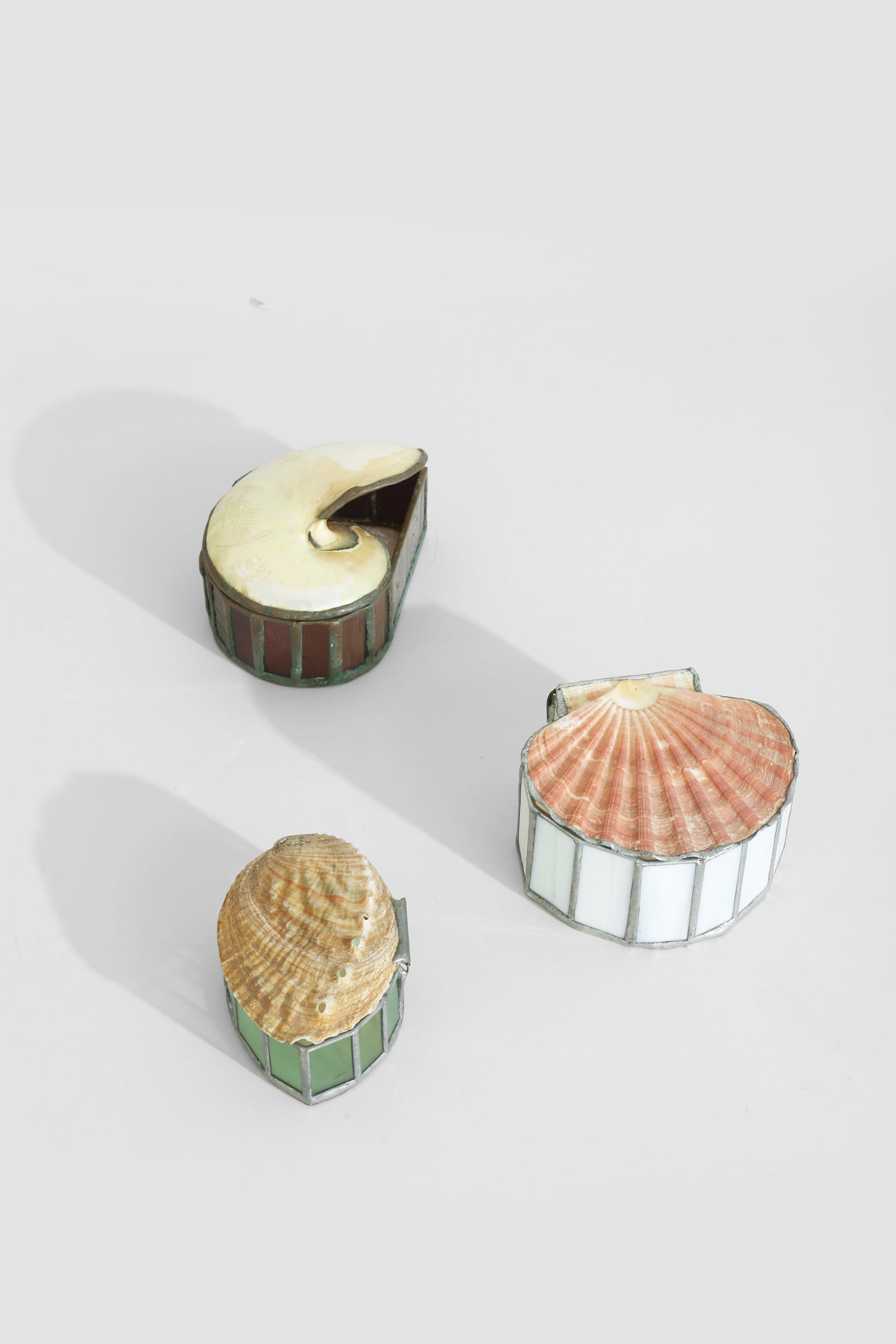 Red Abalone Shell Jewelry Box