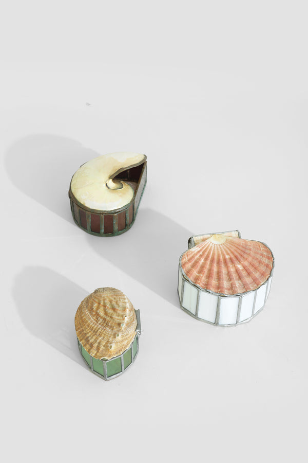 Red Abalone Shell Jewelry Box