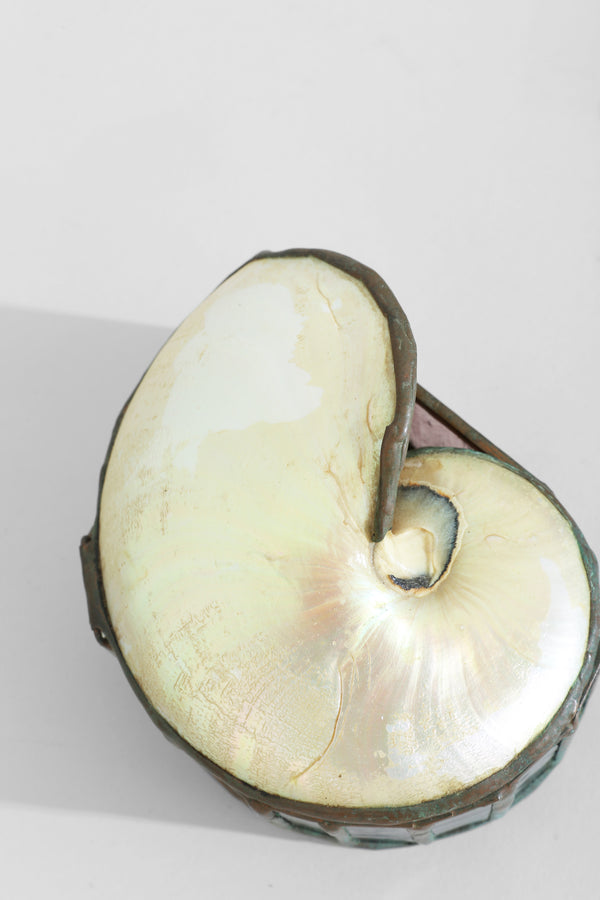 Nautilus Shell Jewelry Box