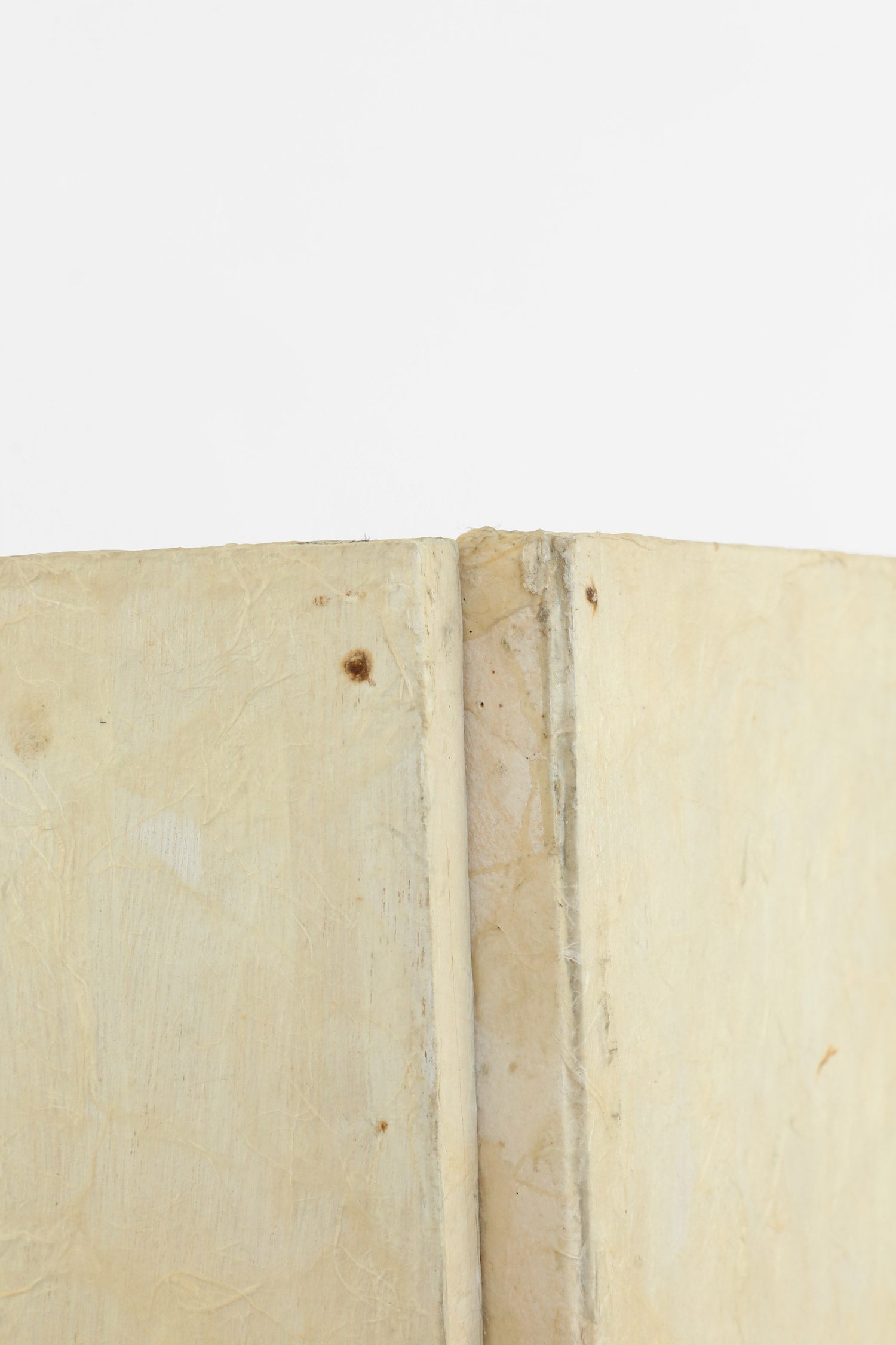 Calla Lily Wall Partition