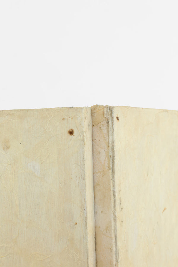 Calla Lily Wall Partition