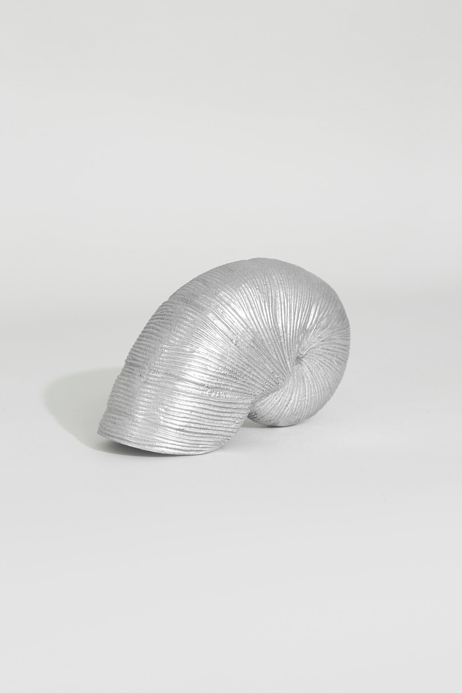 Metal Nautilus Table Sculpture