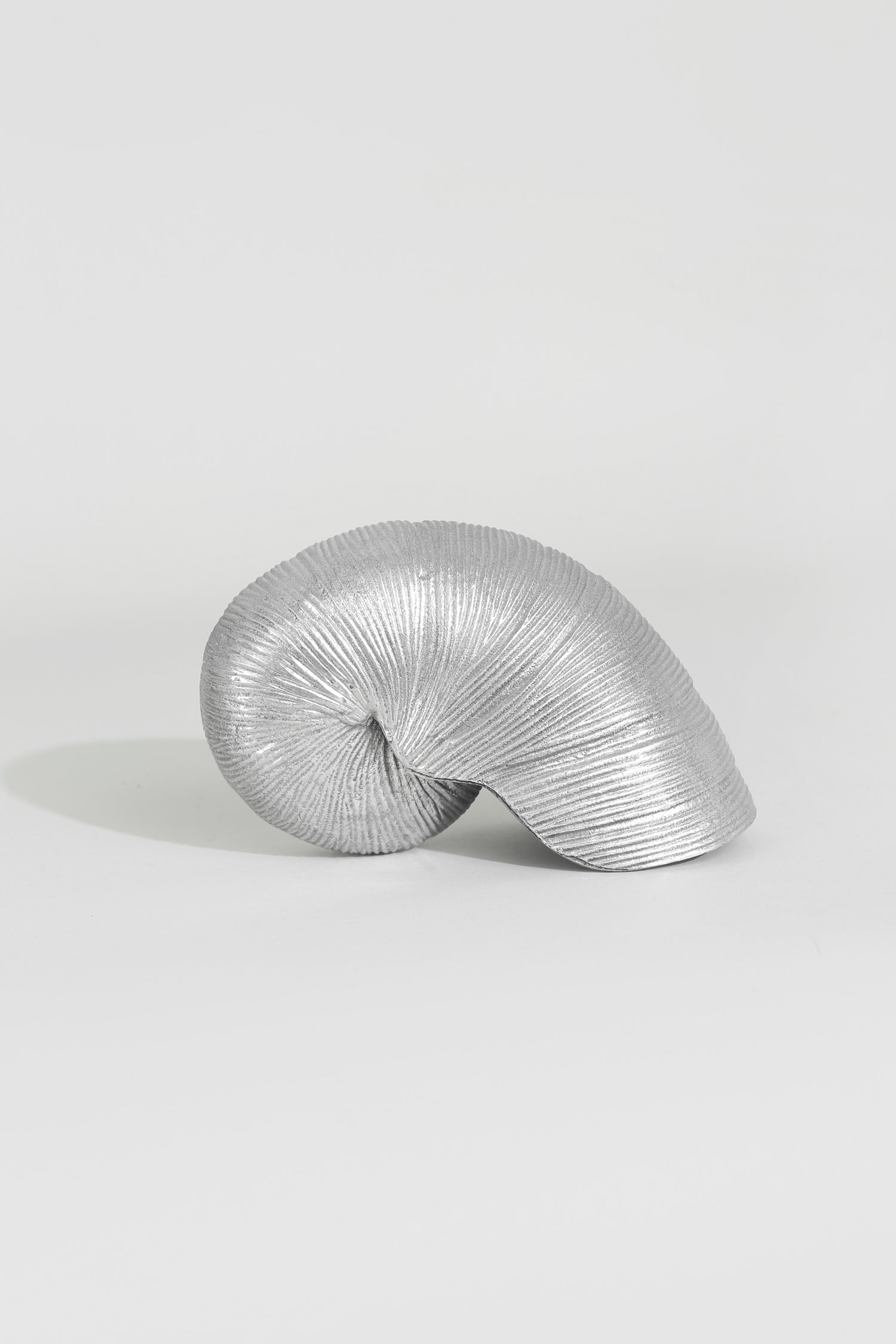 Metal Nautilus Table Sculpture