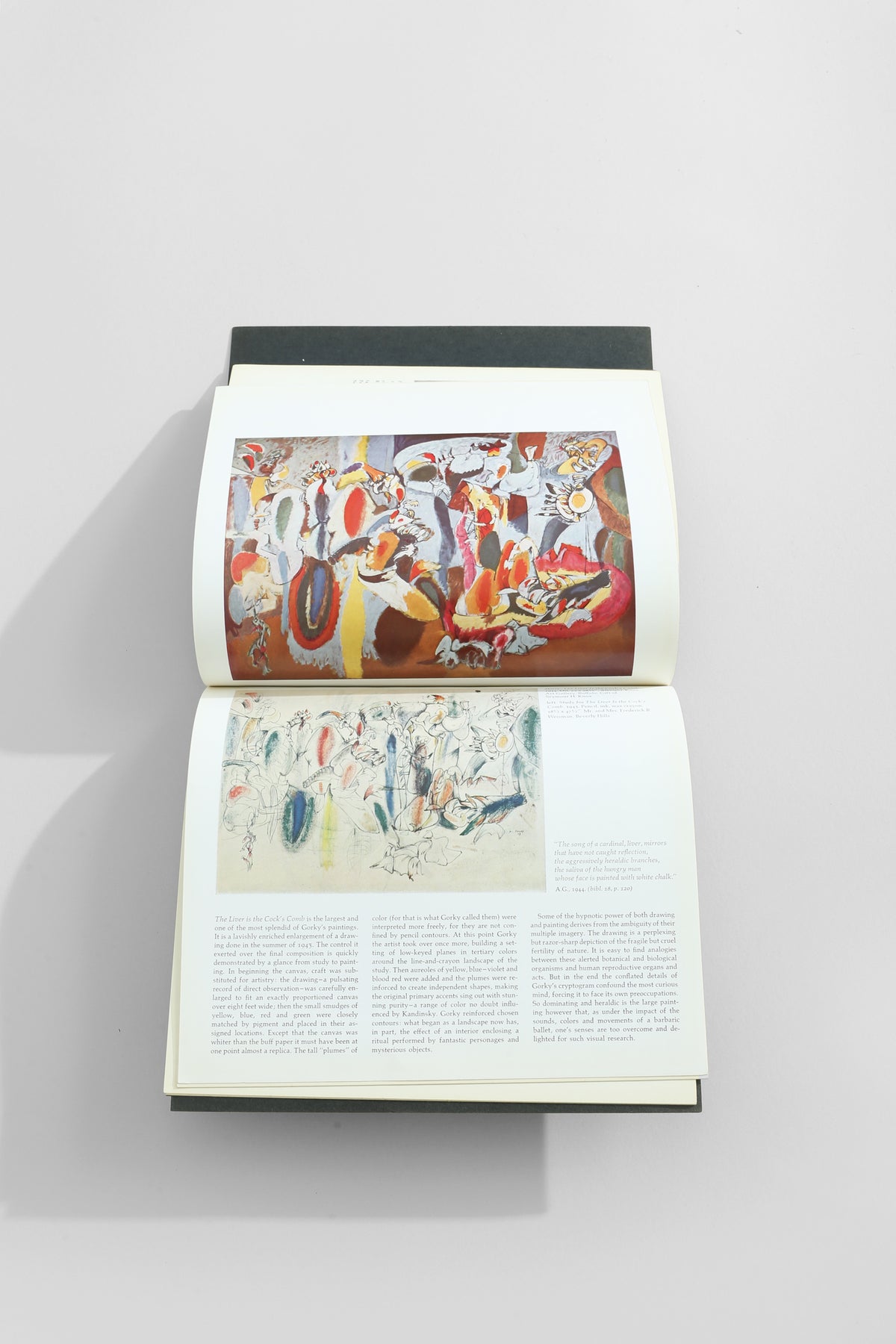 Arshile Gorky Book