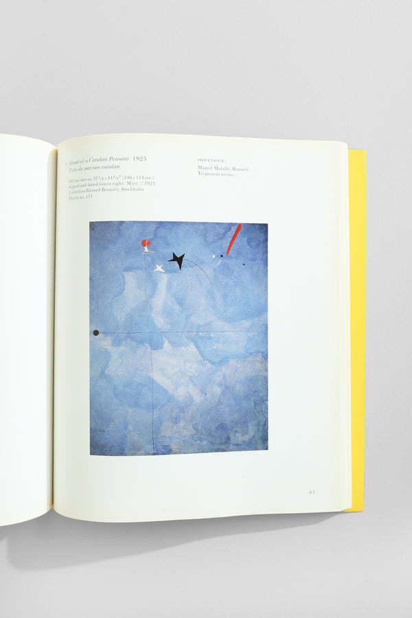 Joan Miró: Magnetic Fields Book
