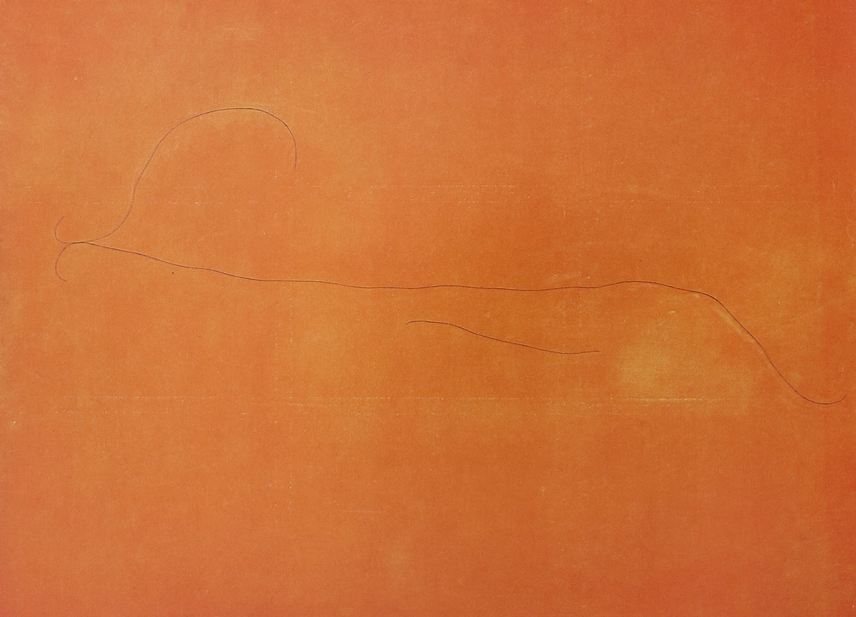 Joan Miró: Magnetic Fields Book