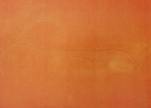 Joan Miró: Magnetic Fields Book