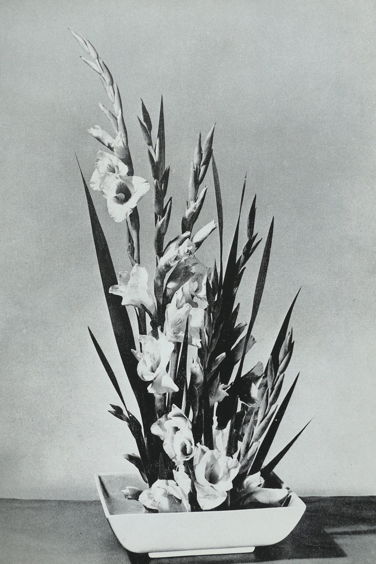 The Art of Flower Arrangement Book