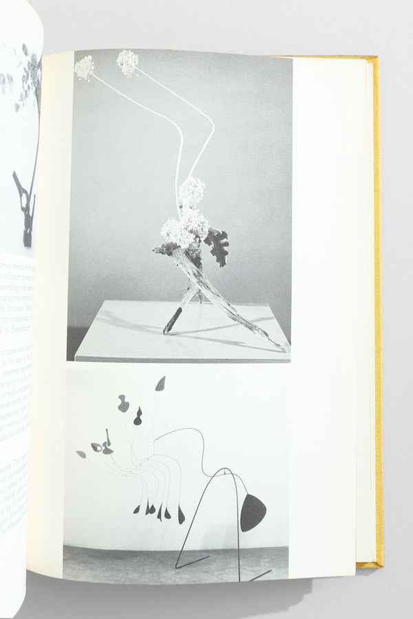Flowers, Space & Motion Book