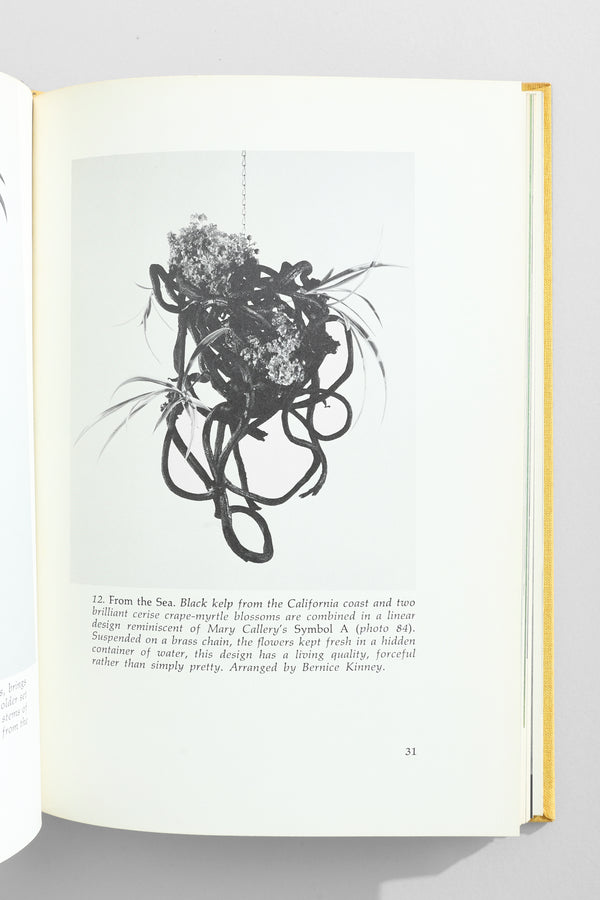 Flowers, Space & Motion Book