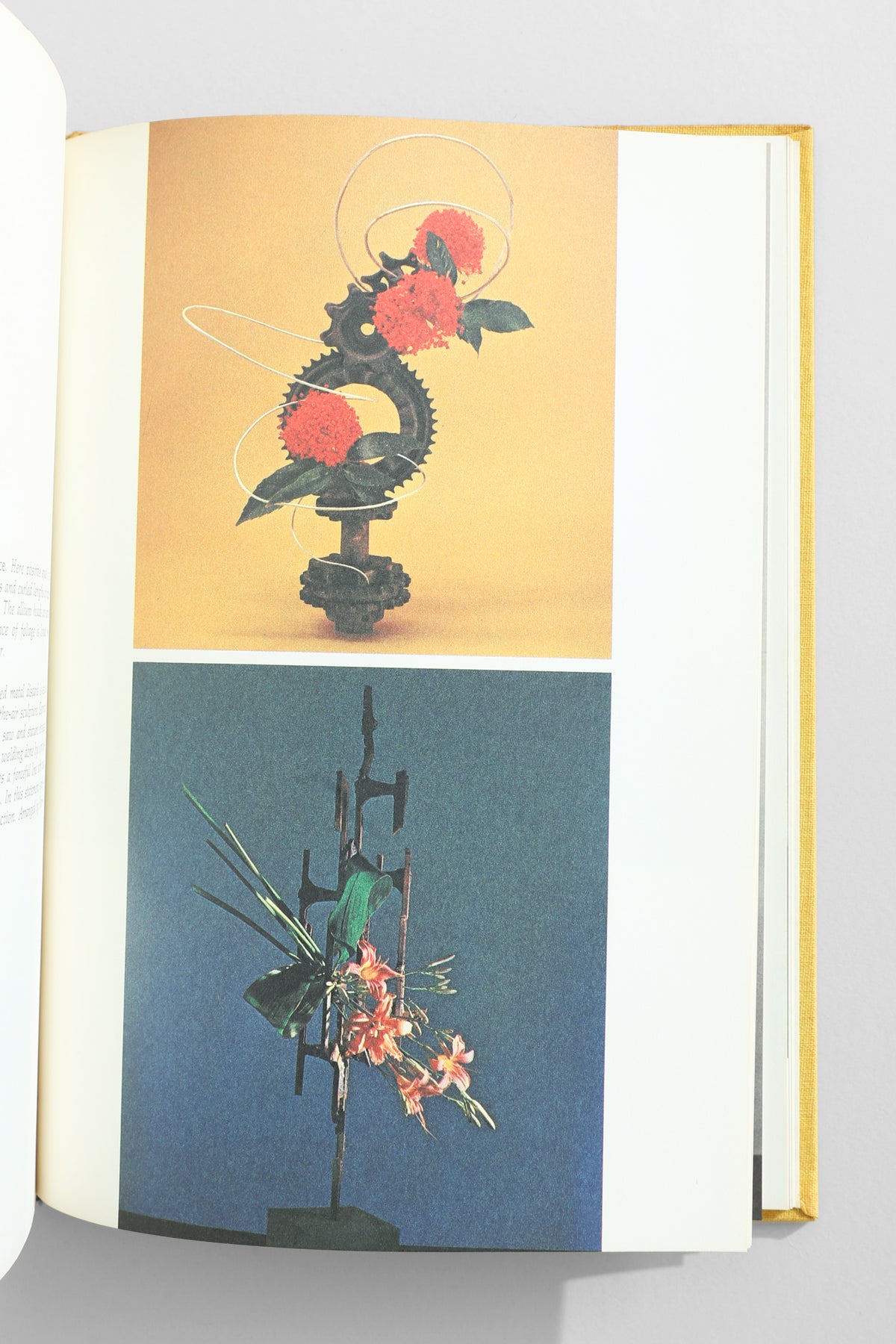 Flowers, Space & Motion Book