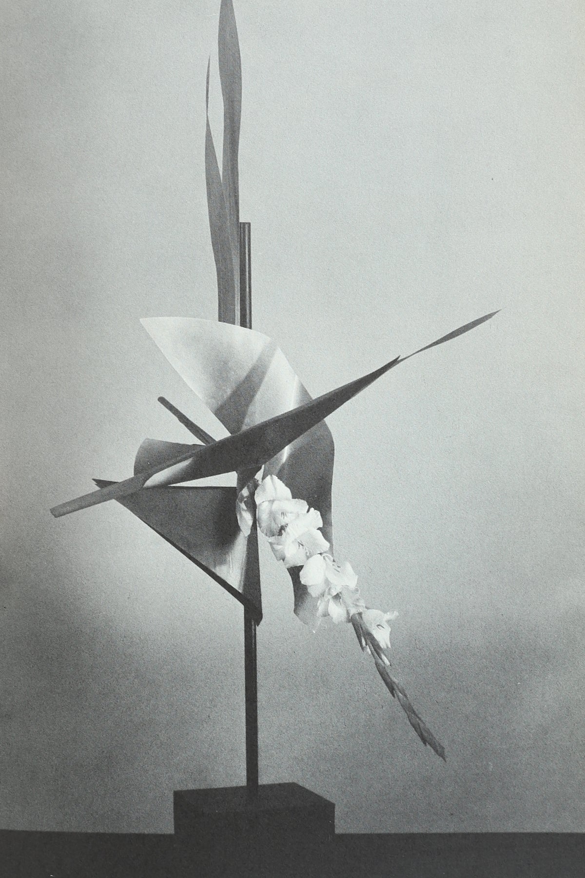 Flowers, Space & Motion Book