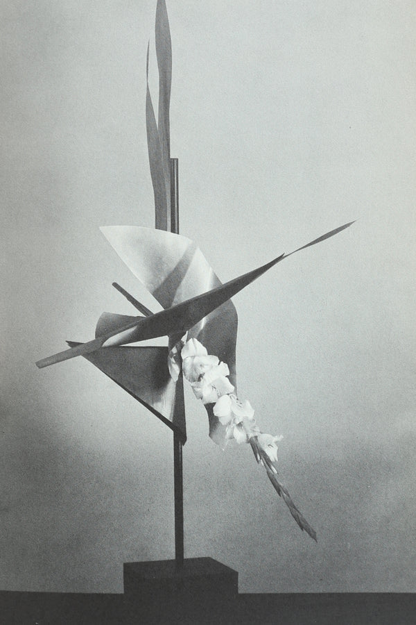 Flowers, Space & Motion Book
