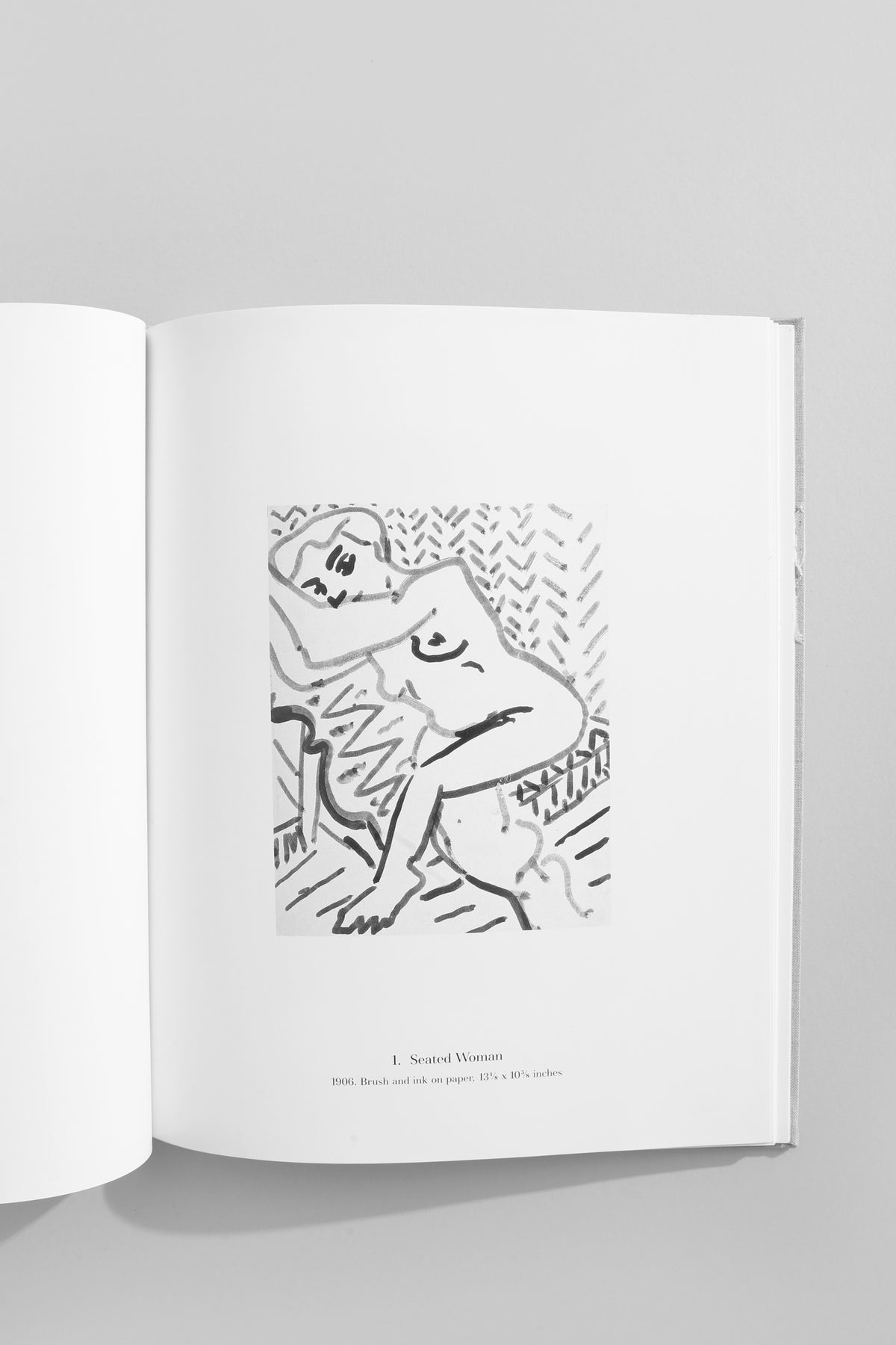 Henri Matisse Book