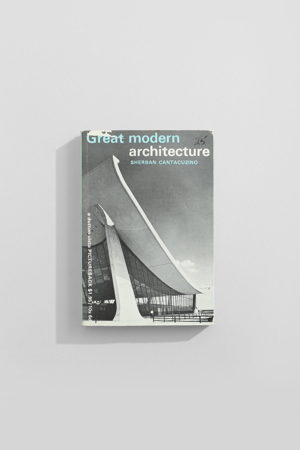 Great Modern Architecture Book