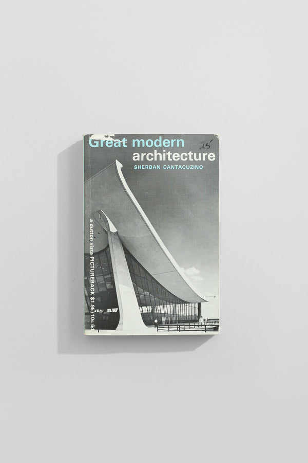 Great Modern Architecture Book