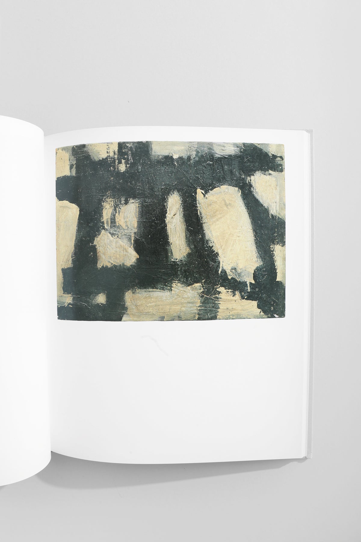 Cy Twombly Book