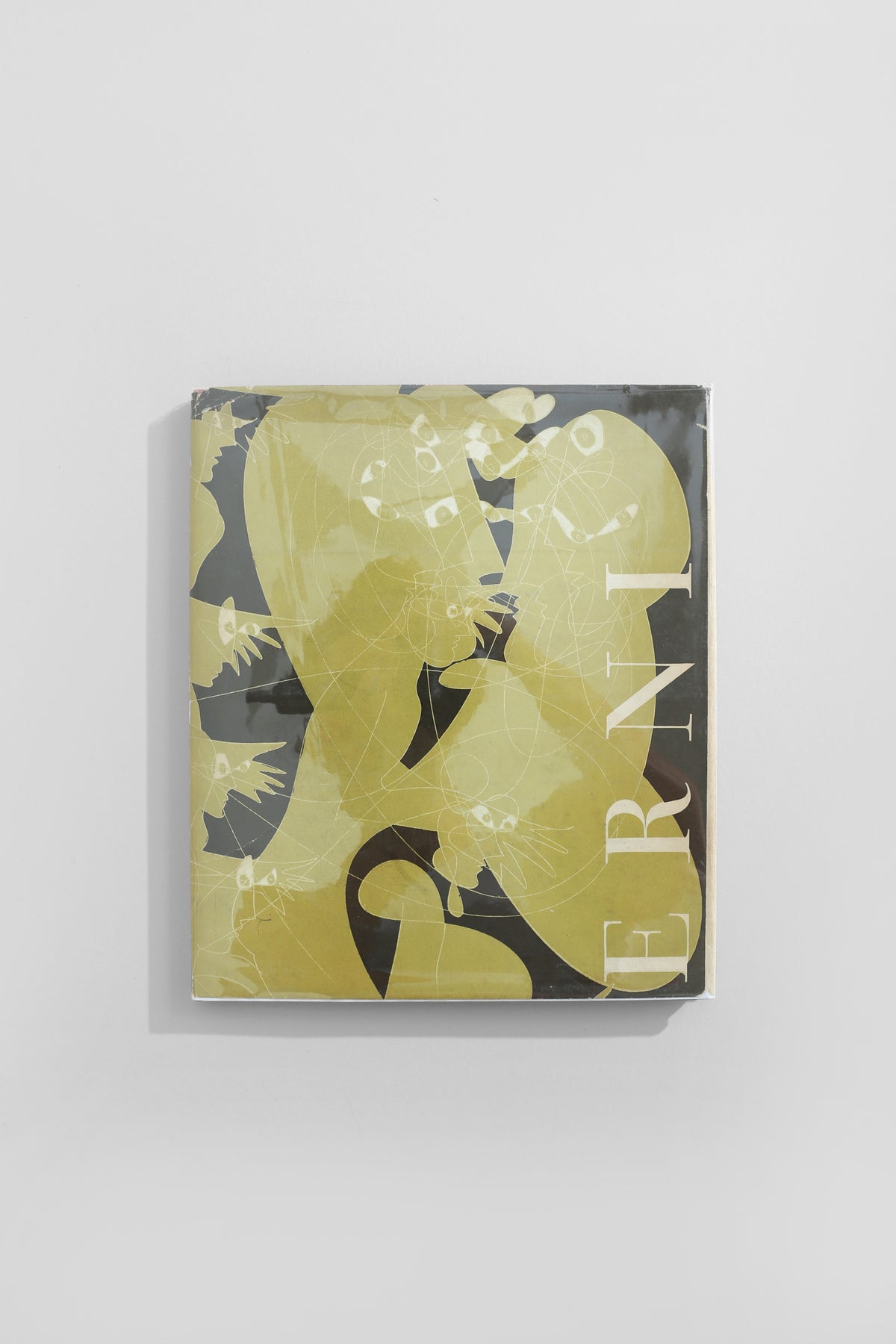 Hans Erni Book