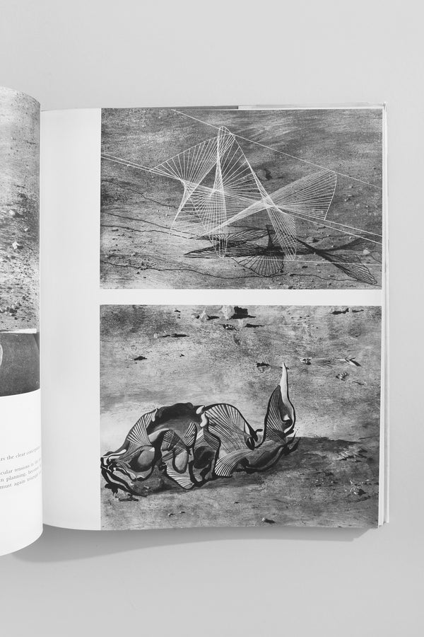 Hans Erni Book