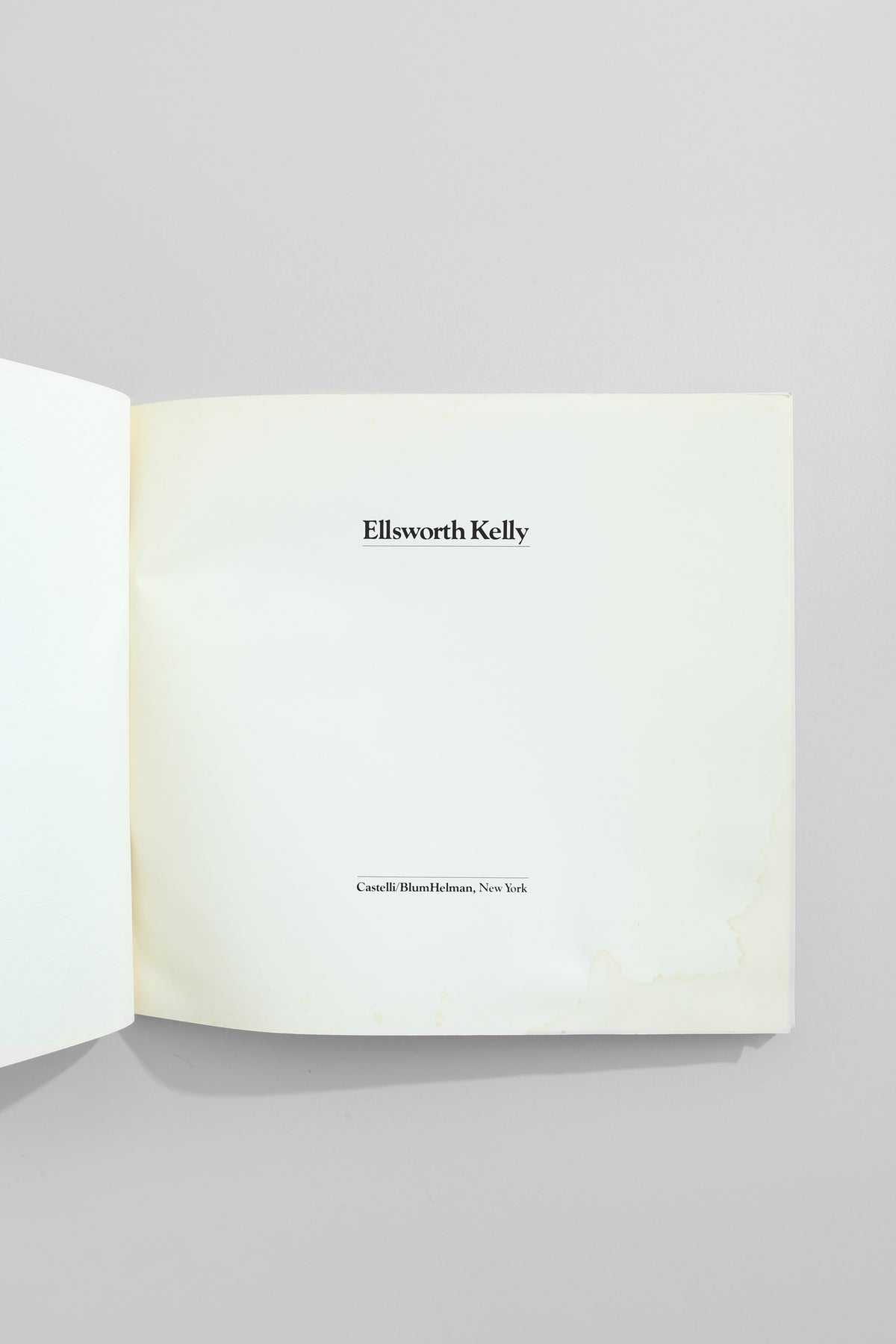 Ellsworth Kelly Book
