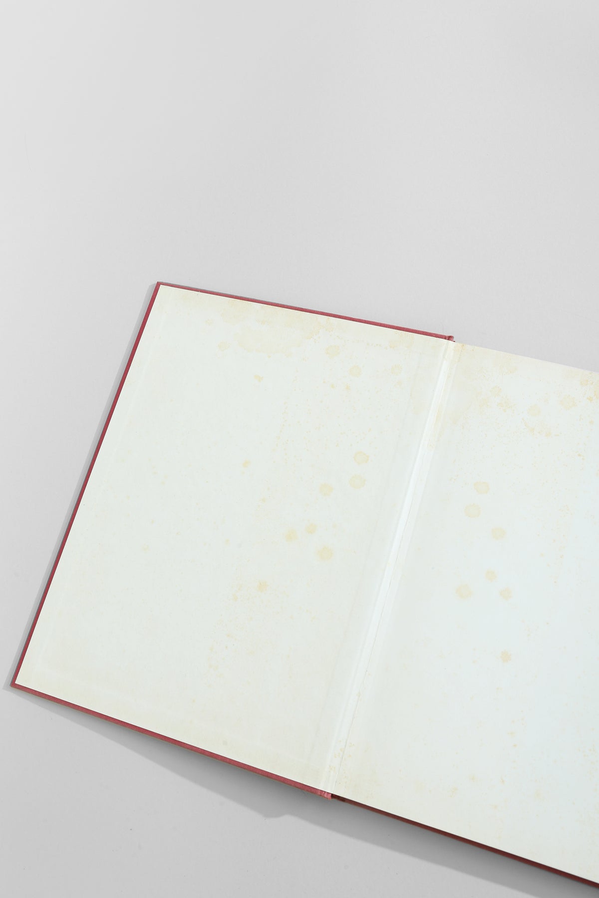 P. Cézanne Book