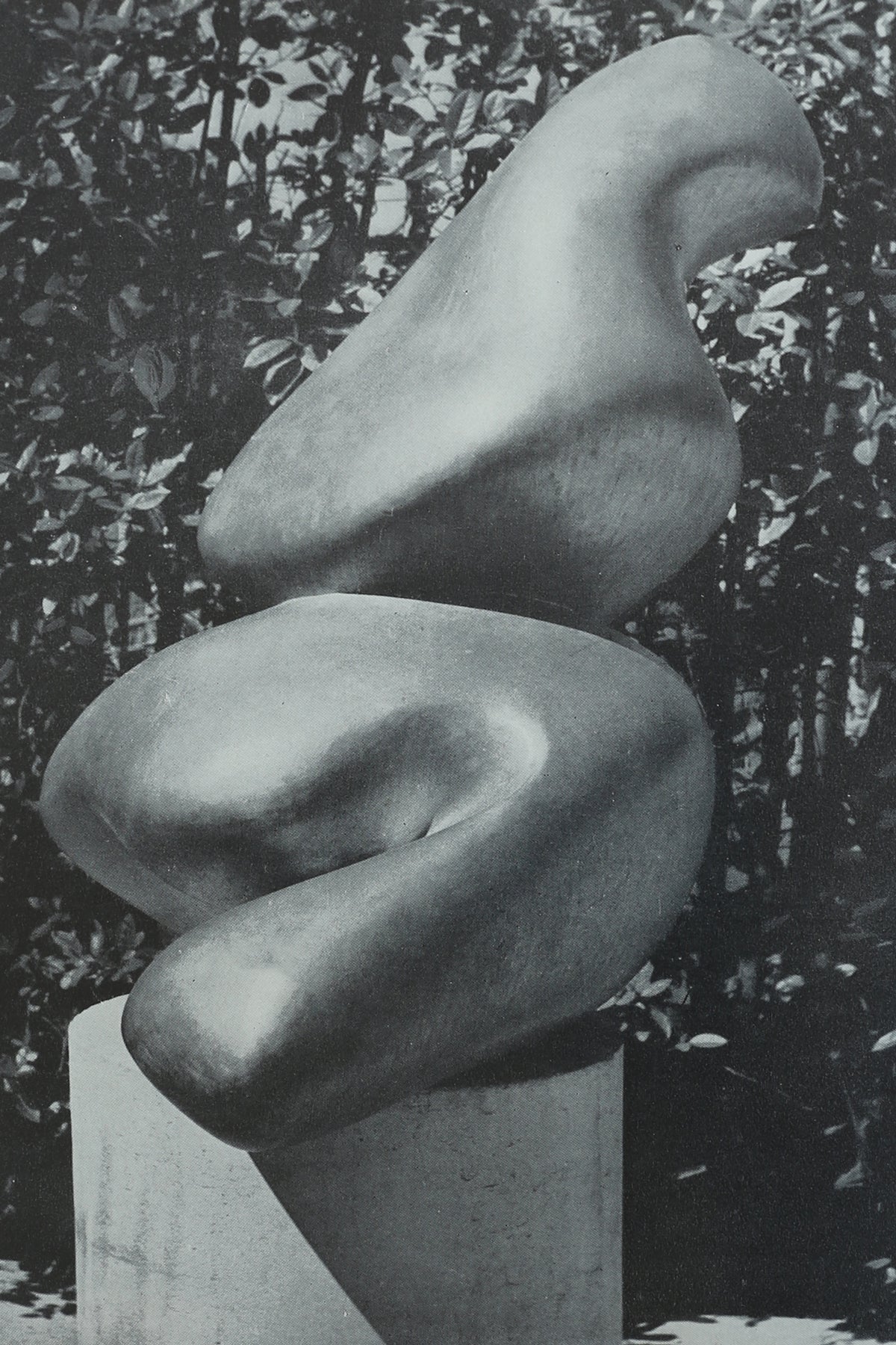 Arp Book