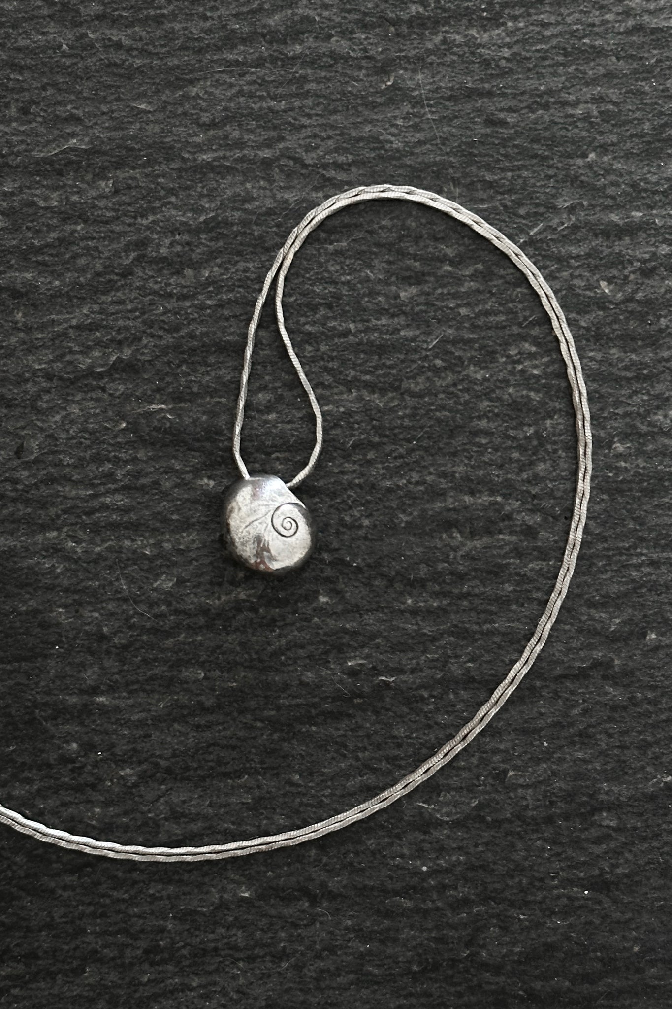 Moon Snail Necklace