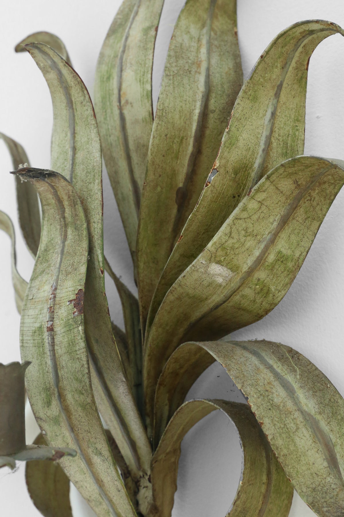 Italian Botanical Candle Sconce Set