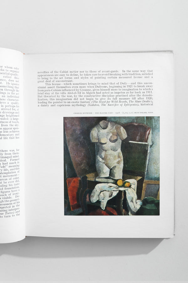 XXth Century Painters Book
