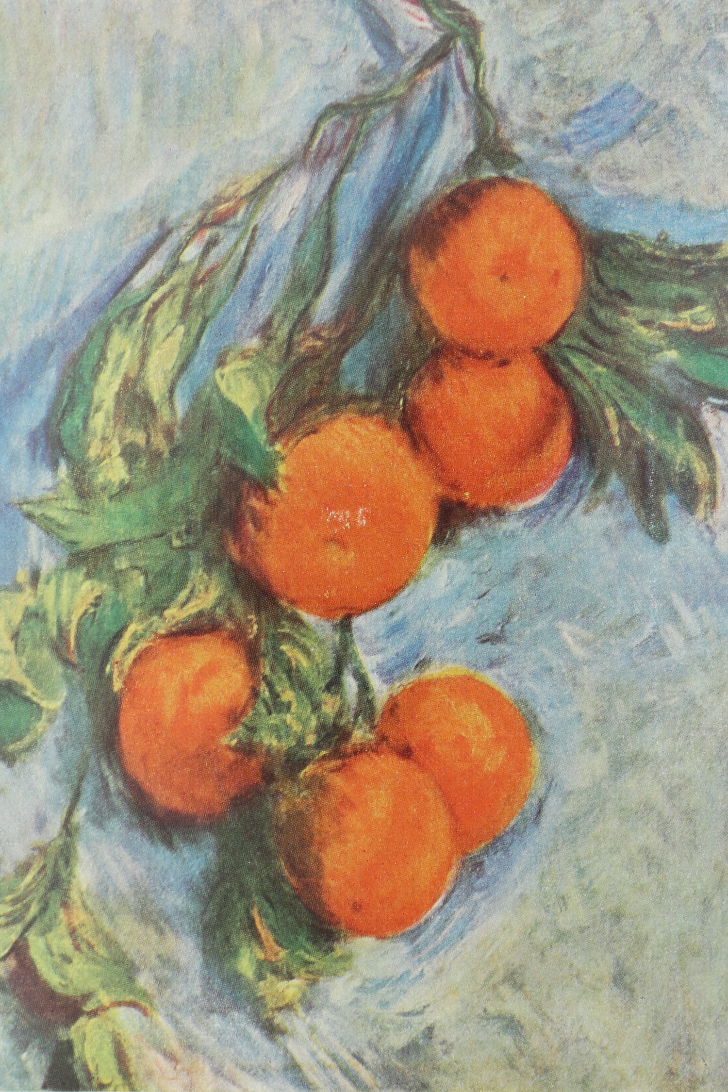 Monet Book