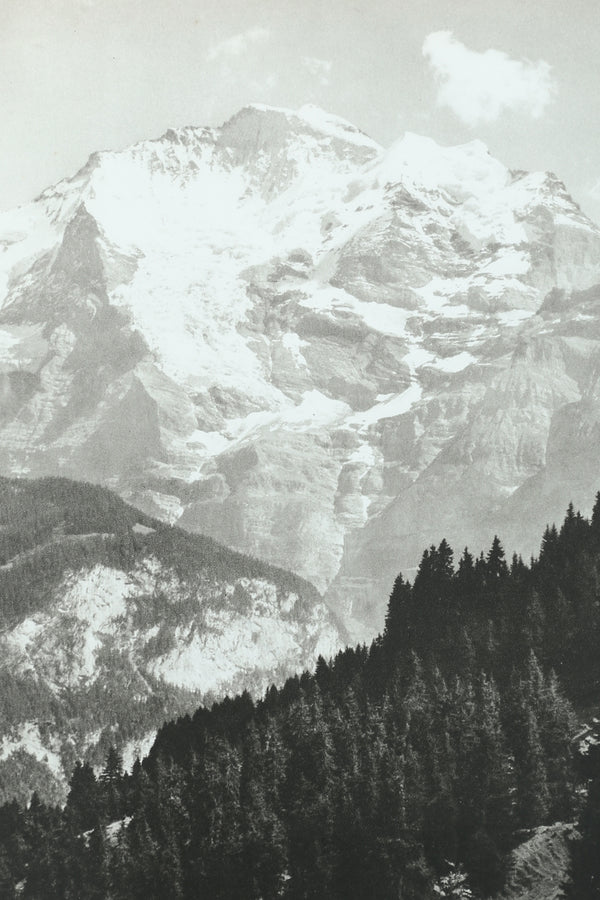The Alps I Love Book